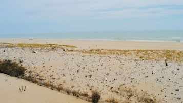 On the beach, beach towels, surfing, fishing