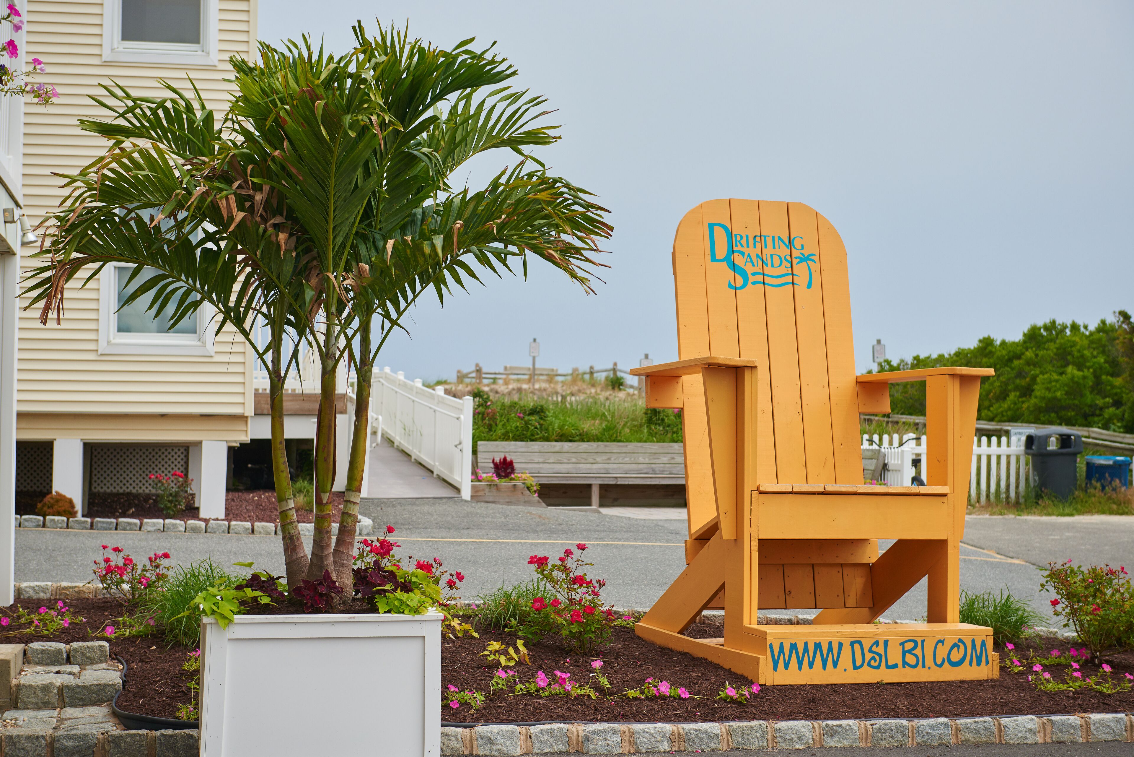 Una silla de madera con la inscripción 'Drinking Sands', ubicada en un área ajardinada con una palmera y flores.