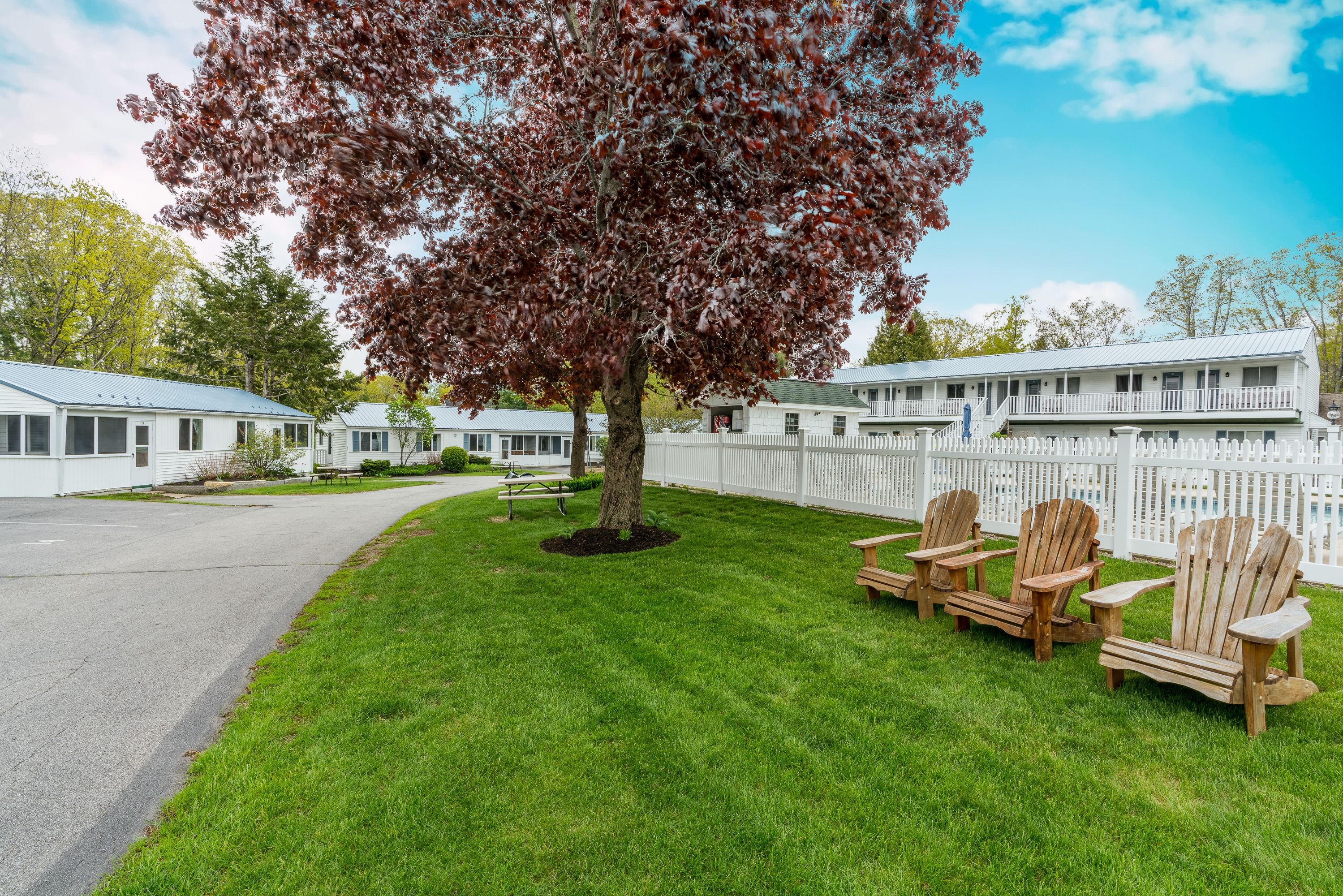 A row of wooden Adirondack chairs and a white picket fence in a well-maintained lawn area.