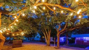 A tree with string lights, a wooden bench, and a building in the background. - Drift Hotel (Key Largo)