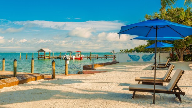 A beach with lounge chairs and a blue umbrella, a pier with boats, and a mural of wings on a wall. - Drift Hotel (Key Largo)
