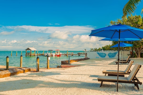 Plage, chaises longues, snorkeling, kayak