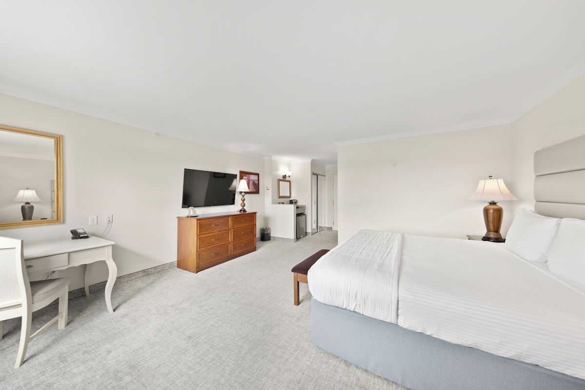 A hotel room with a bed, a desk, a television, a dresser, and a mirror.
