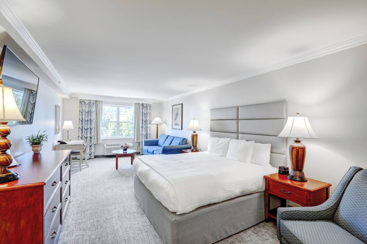 A hotel room with a large bed, a desk with a lamp, a chair, a sofa, and a window with curtains.