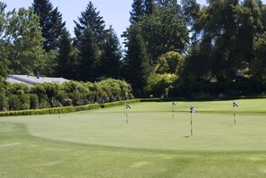 Accommodatievoorziening