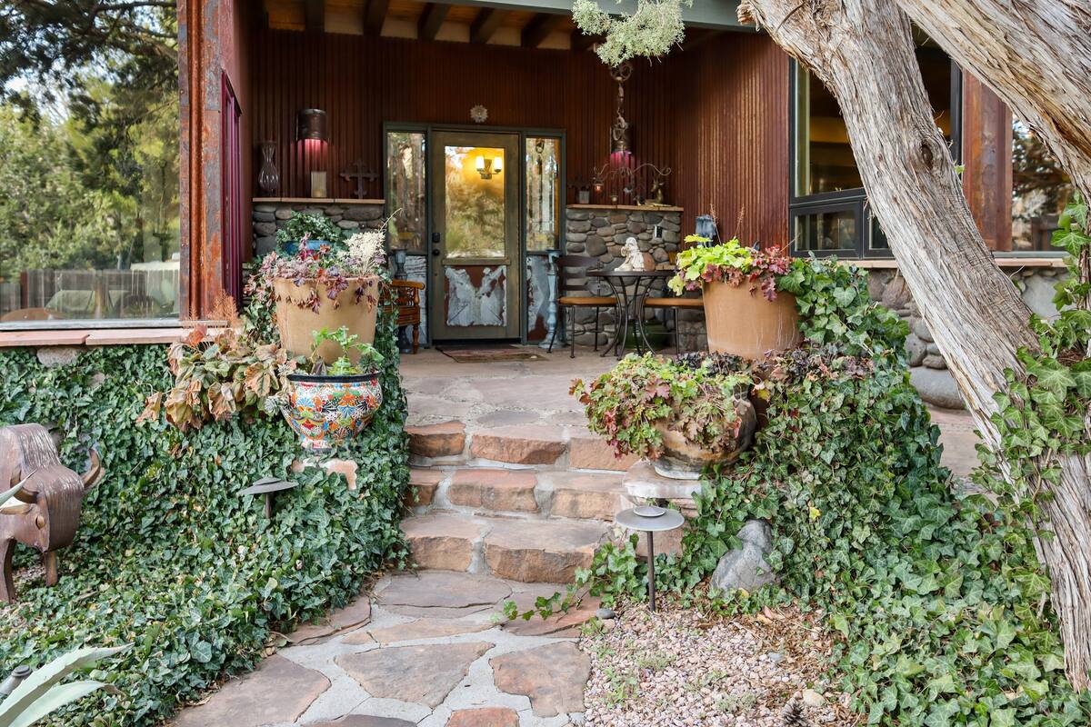 A stone staircase leading to a wooden door with a glass panel, surrounded by lush greenery and potted plants.
