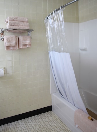 Ducha en el baño. The Bluebird Motel
