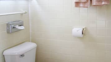 Combined shower/tub, free toiletries, hair dryer, towels