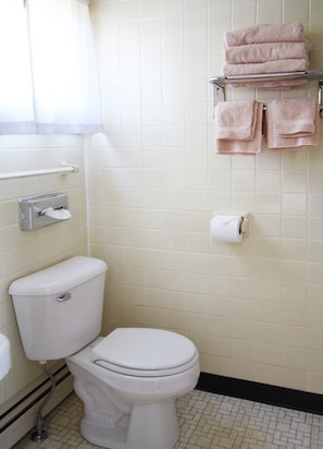 Combined shower/tub, free toiletries, hair dryer, towels - The Bluebird Motel (Machias)