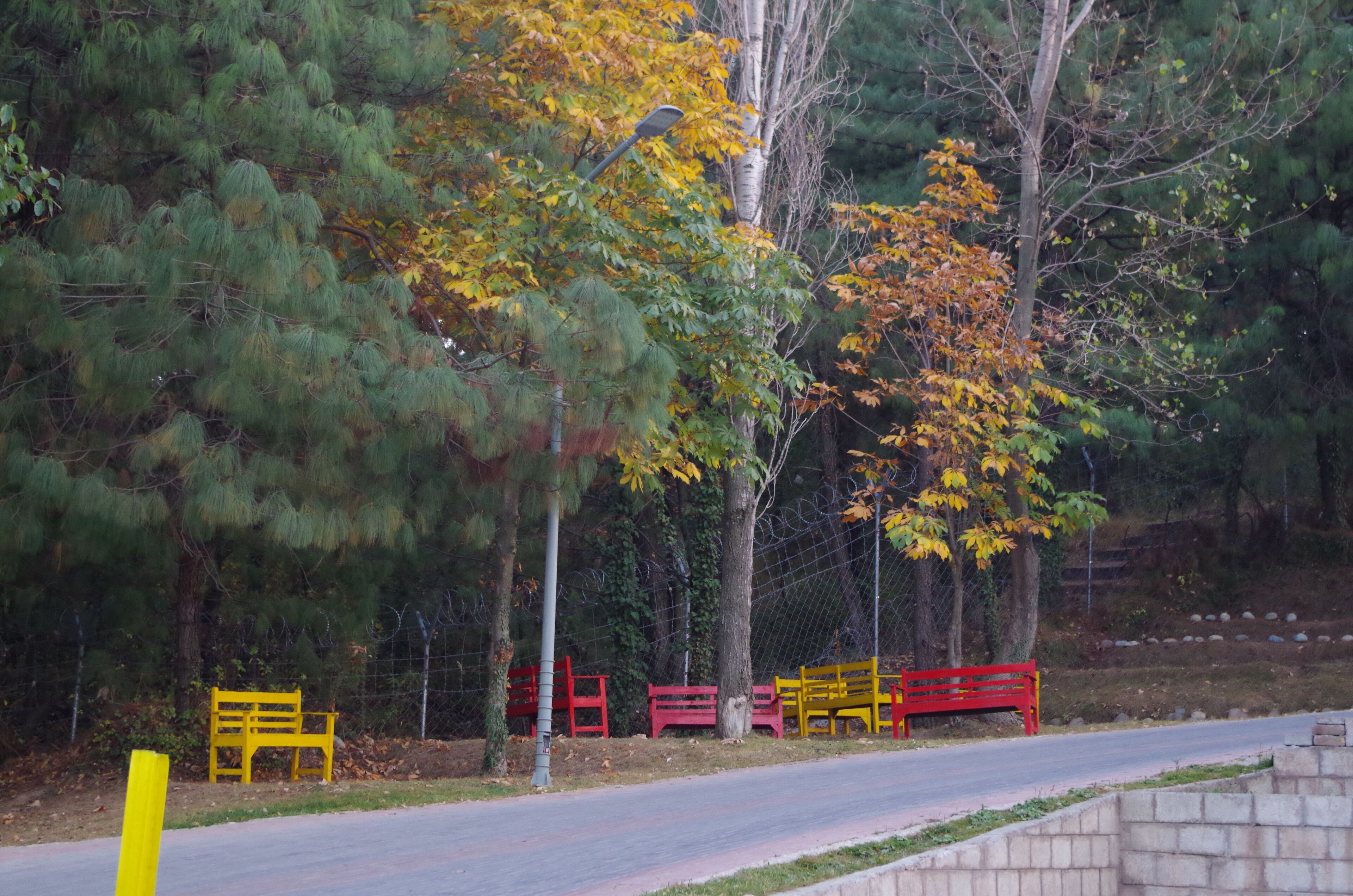 Un parque con bancos y árboles.