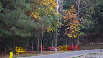 Un parque con bancos y árboles.