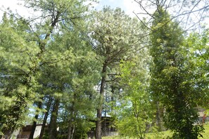 Executive-Ferienhaus, 2 Schlafzimmer, Raucher, Hügelblick | Blick auf den Garten