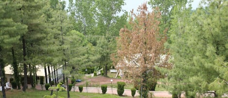 Club Suite, 1 King Bed, Smoking, Hill View | Garden view