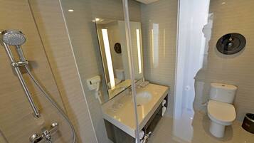 A modern bathroom with a glass-enclosed shower, a sink, a toilet, and a mirror.