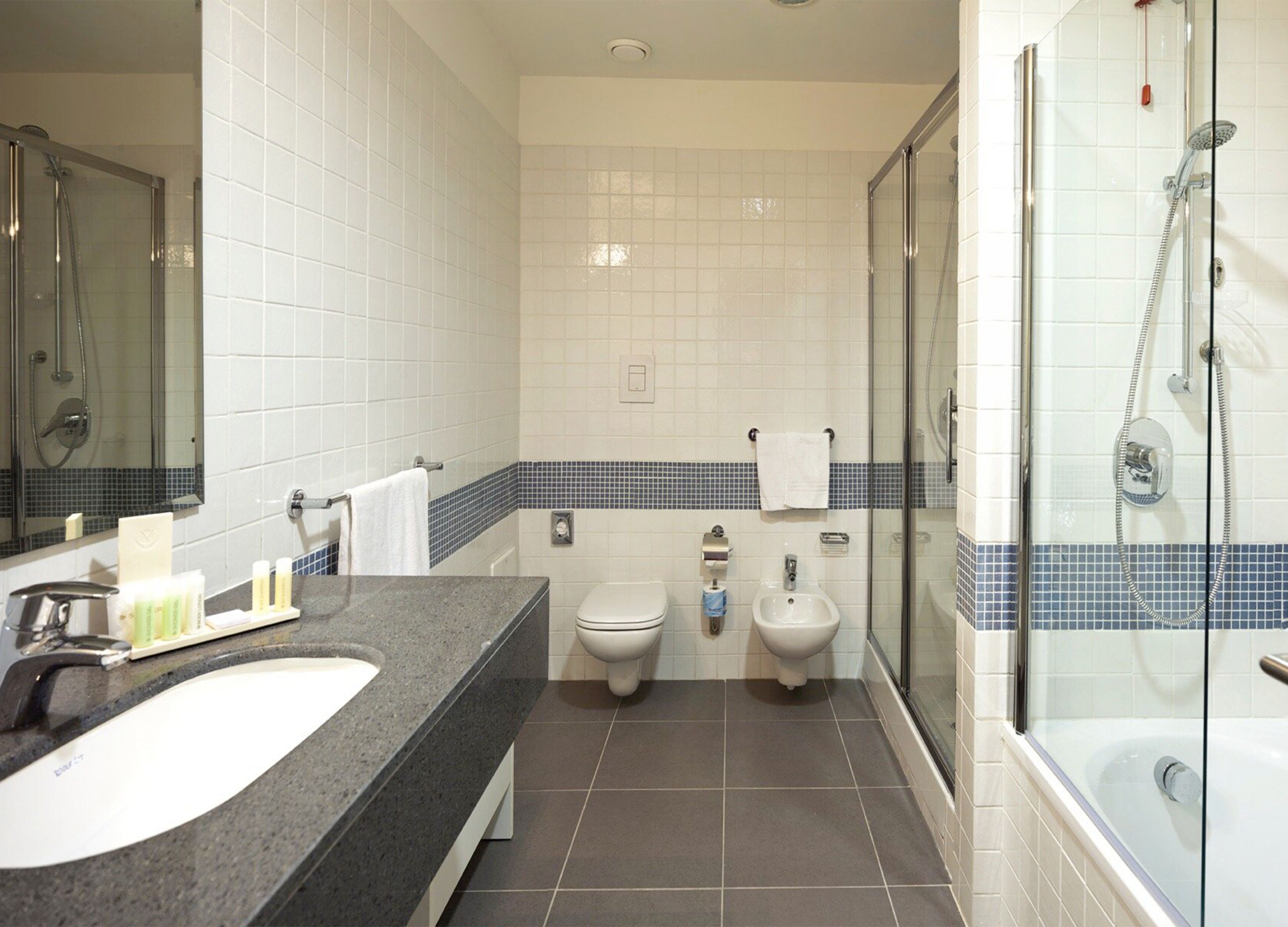suite | bathroom | combined shower/bathtub, free toiletries, hair dryer, towels