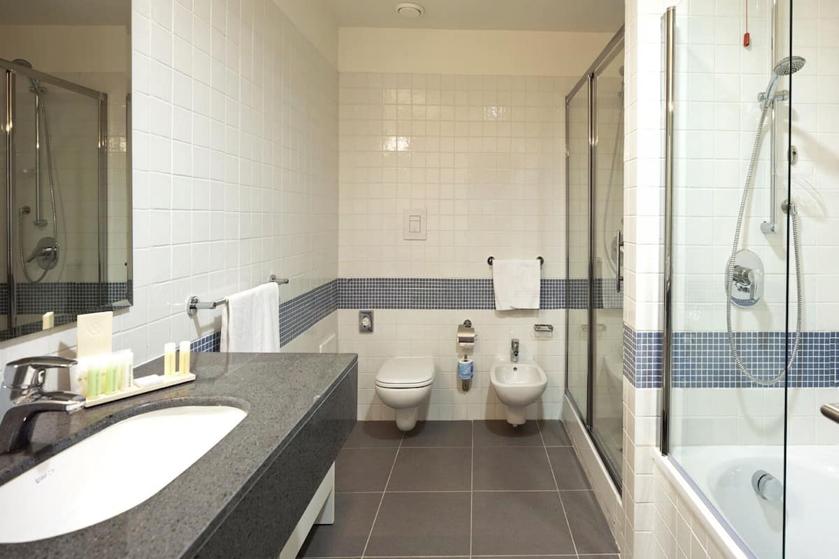 suite | bathroom | combined shower/bathtub, free toiletries, hair dryer, towels