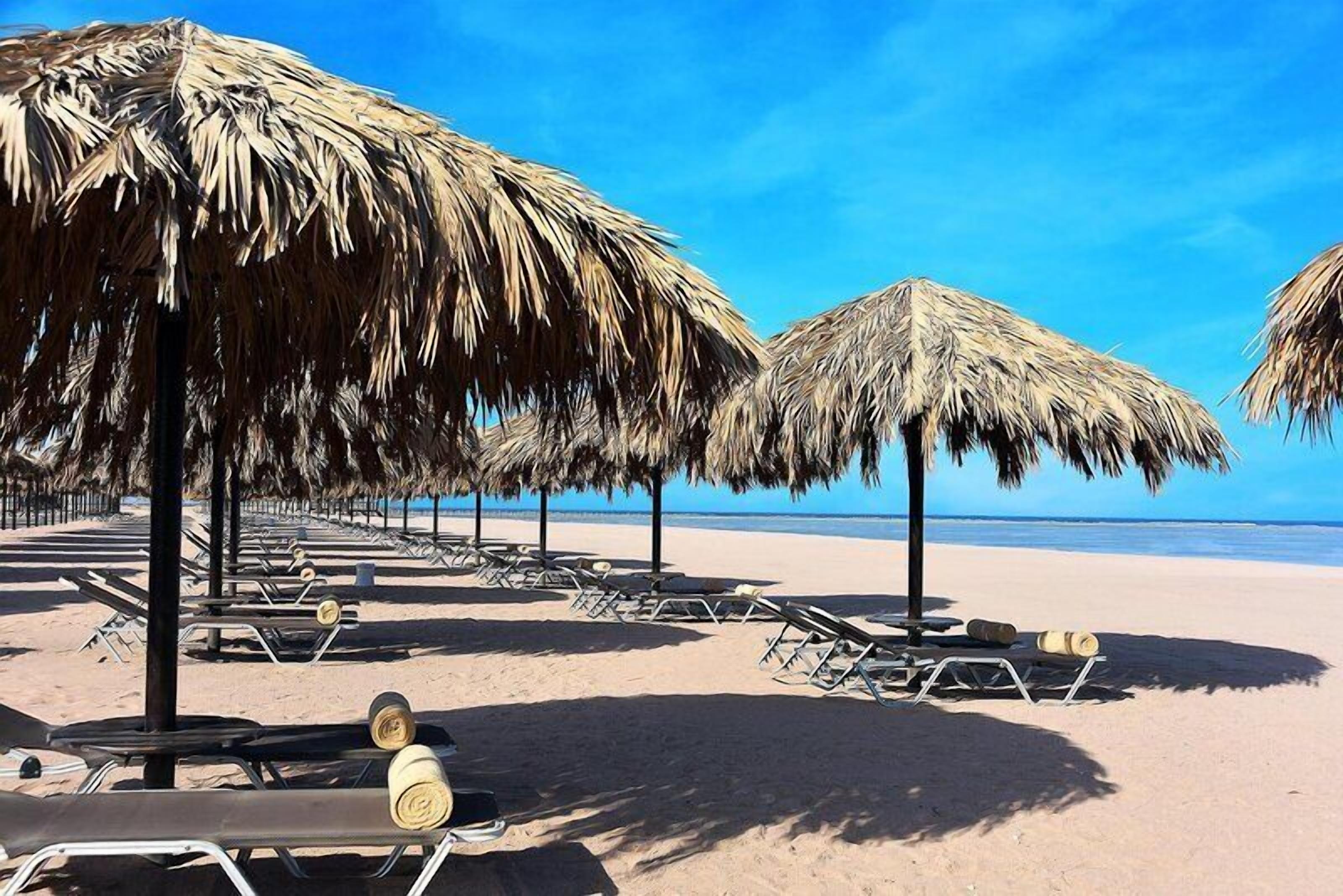 Ubicación a pie de playa, arena blanca, tumbonas y sombrillas