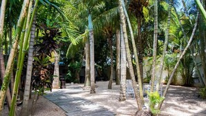 A tropical garden with palm trees and a stone pathway. - La Margarita (Pointe Aux Piments)