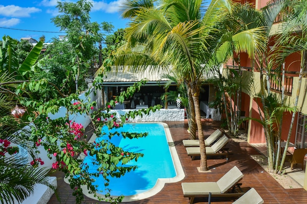 Outdoor pool, pool loungers