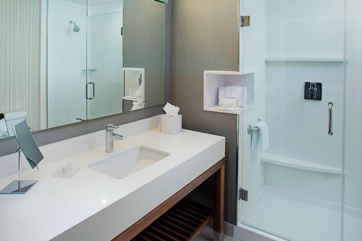 A modern bathroom with a large mirror, two sinks, a shower, and a vanity with shelves.