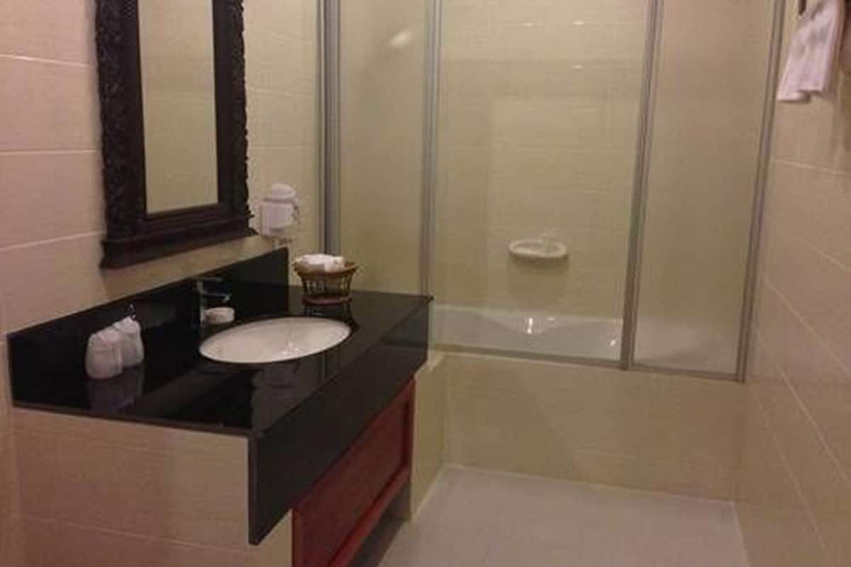 shower, free toiletries, hair dryer, slippers