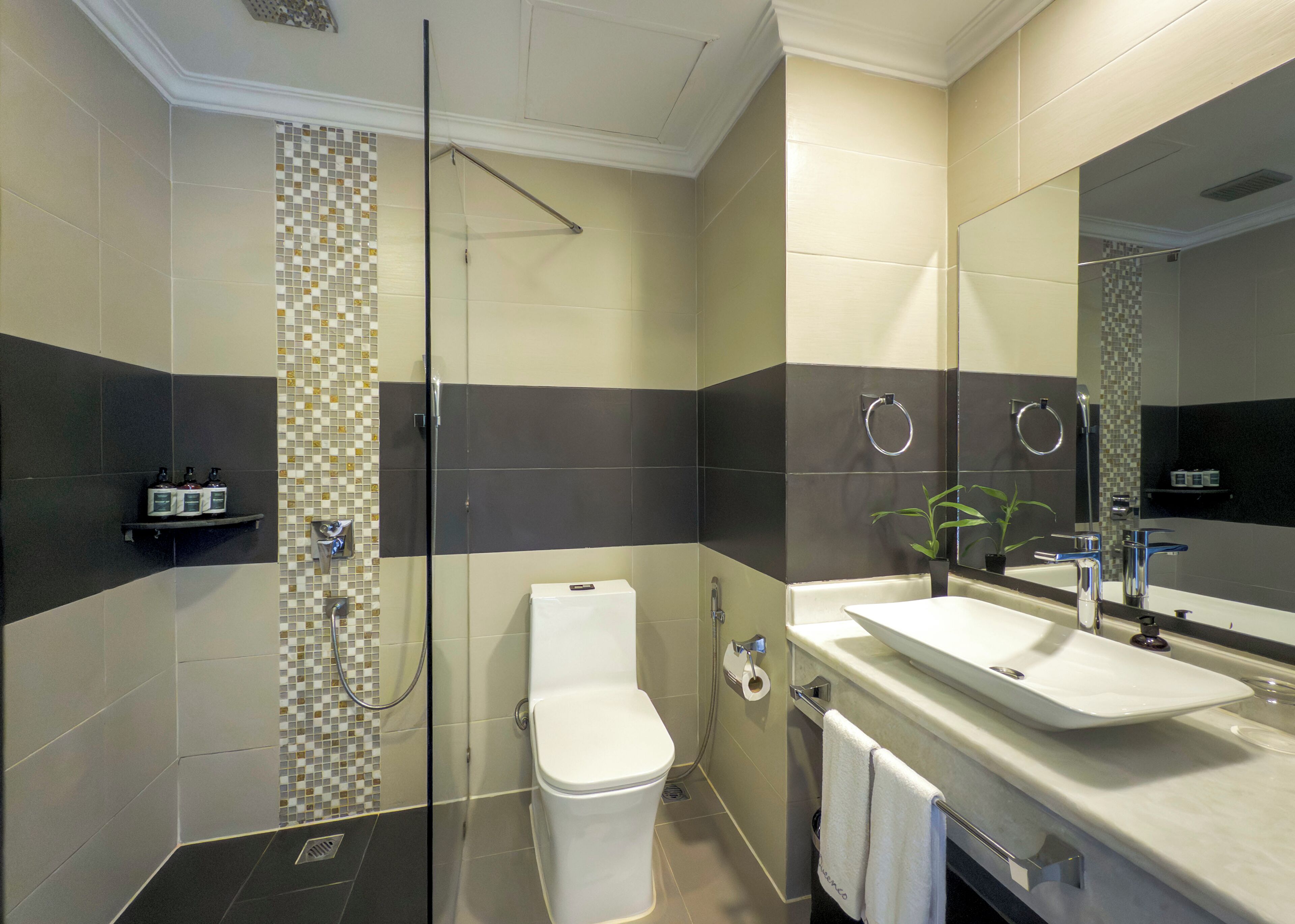 A modern bathroom with a glass shower enclosure, a toilet, a sink with a large mirror, and a towel rack.
