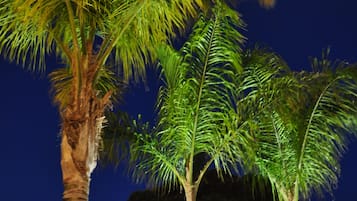 Jardín