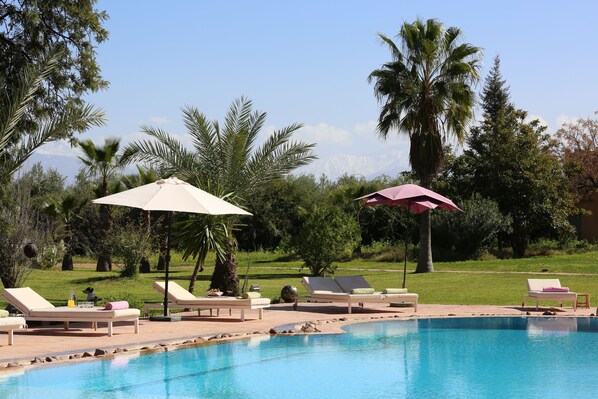 Outdoor pool, pool umbrellas, pool loungers
