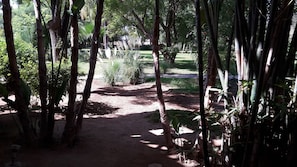 Puutarha