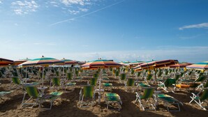 Una playa con hileras de sillas y sombrillas.