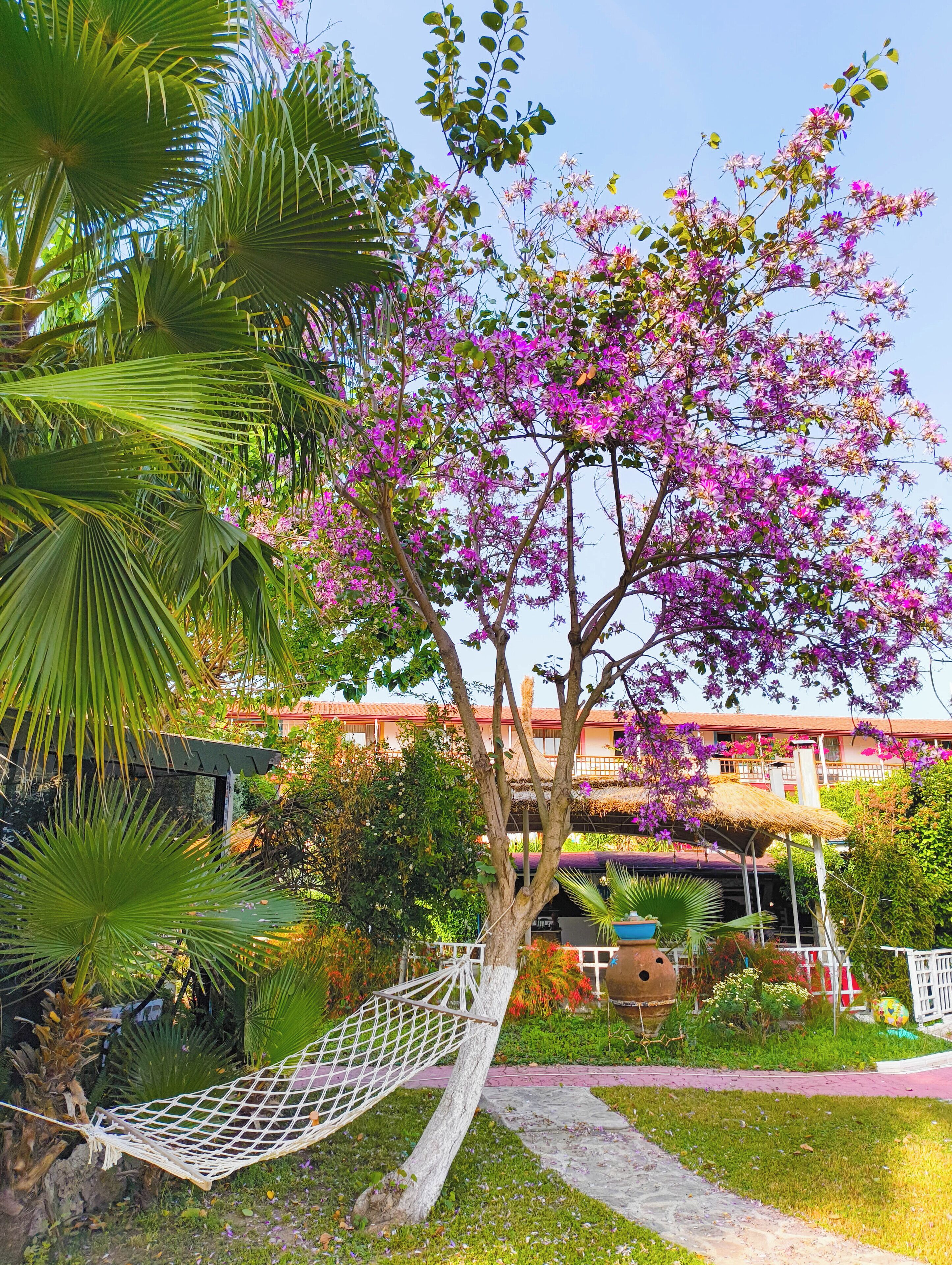 Una hamaca atada a un árbol con flores moradas, una estructura de techo de paja y un edificio con balcones al fondo.