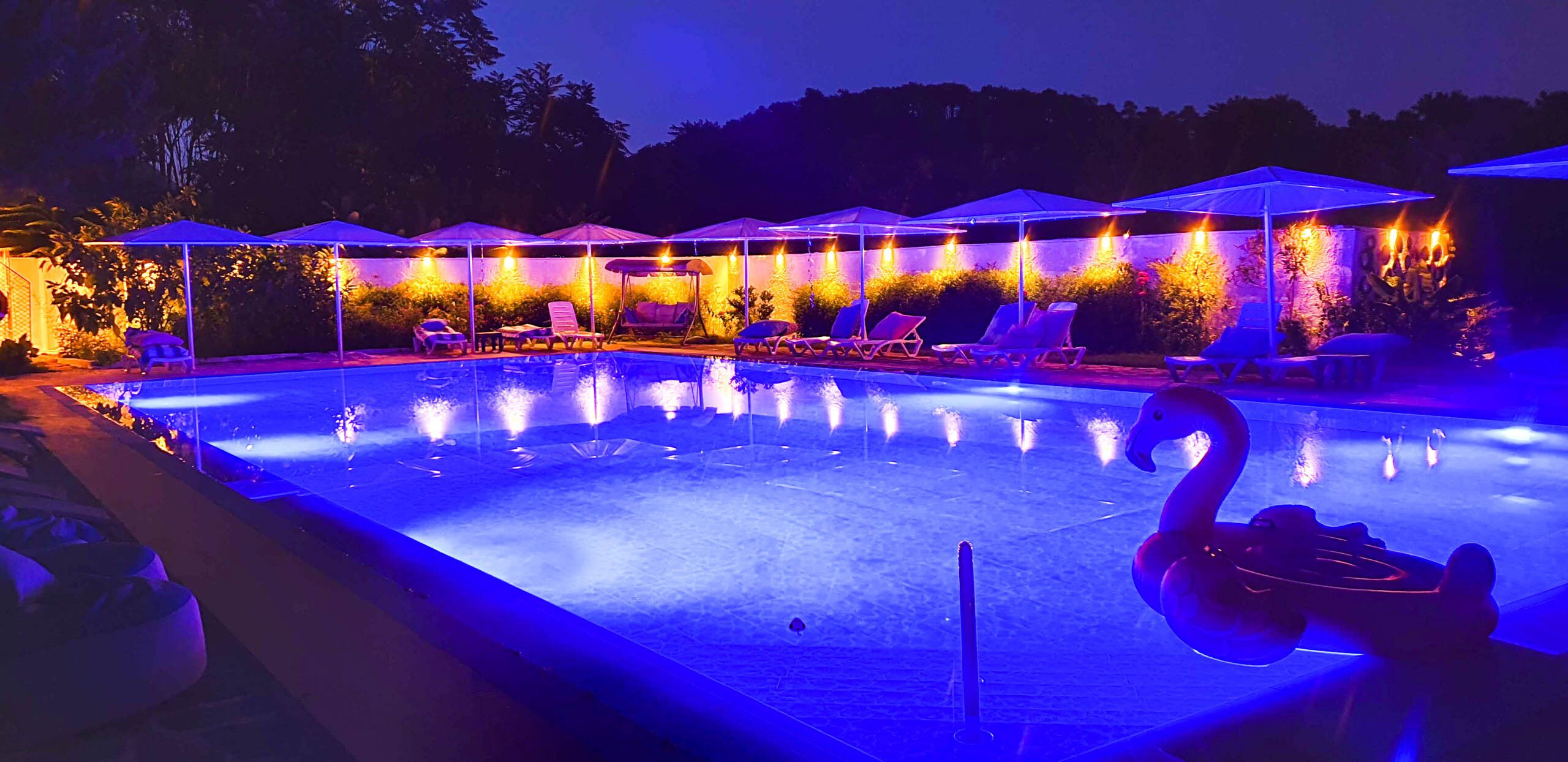 Outdoor pool, pool umbrellas, sun loungers