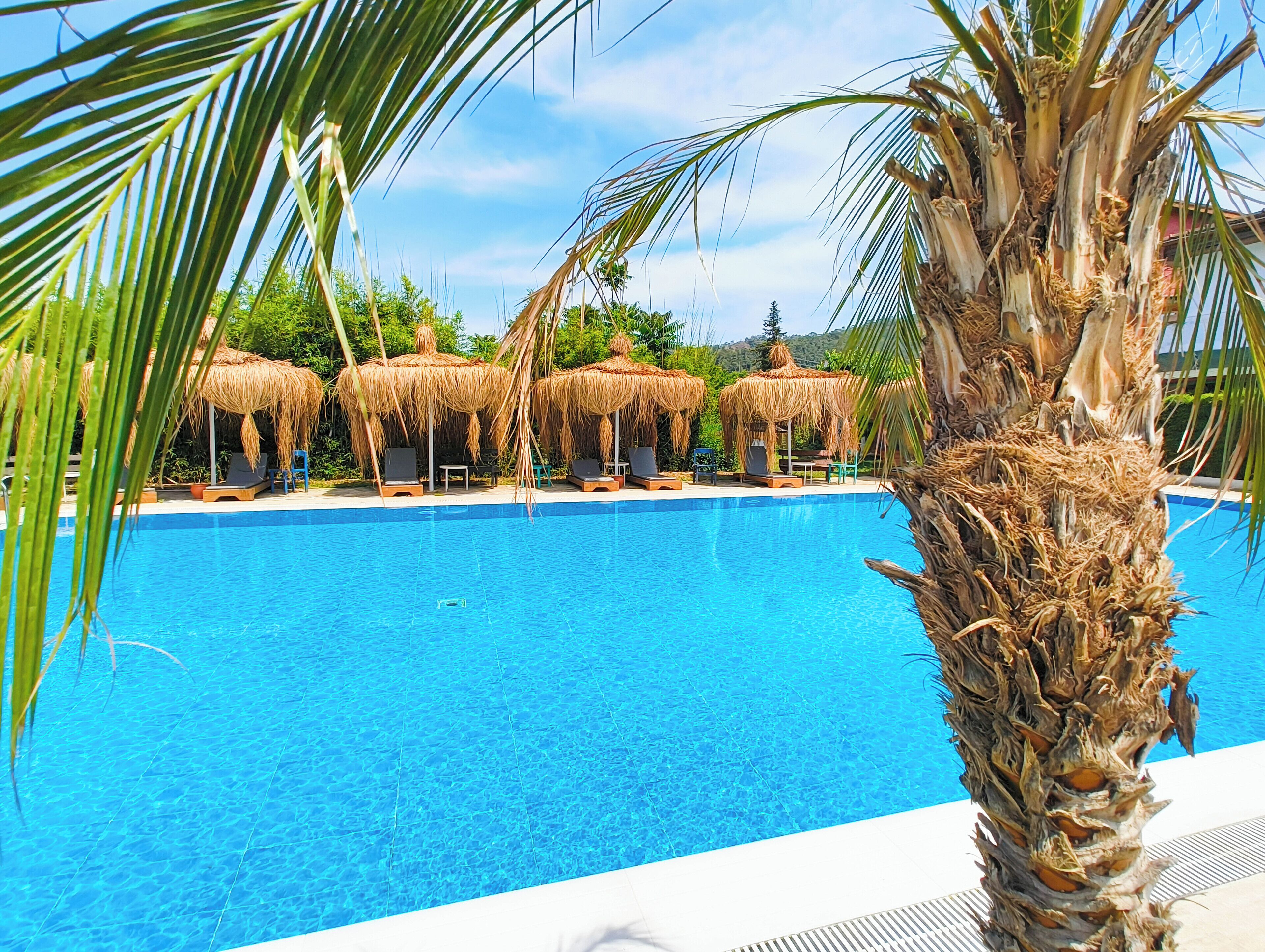 Outdoor pool, pool umbrellas, sun loungers