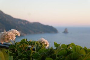 Studio, Sea View (Ground floor) | Teres/patio