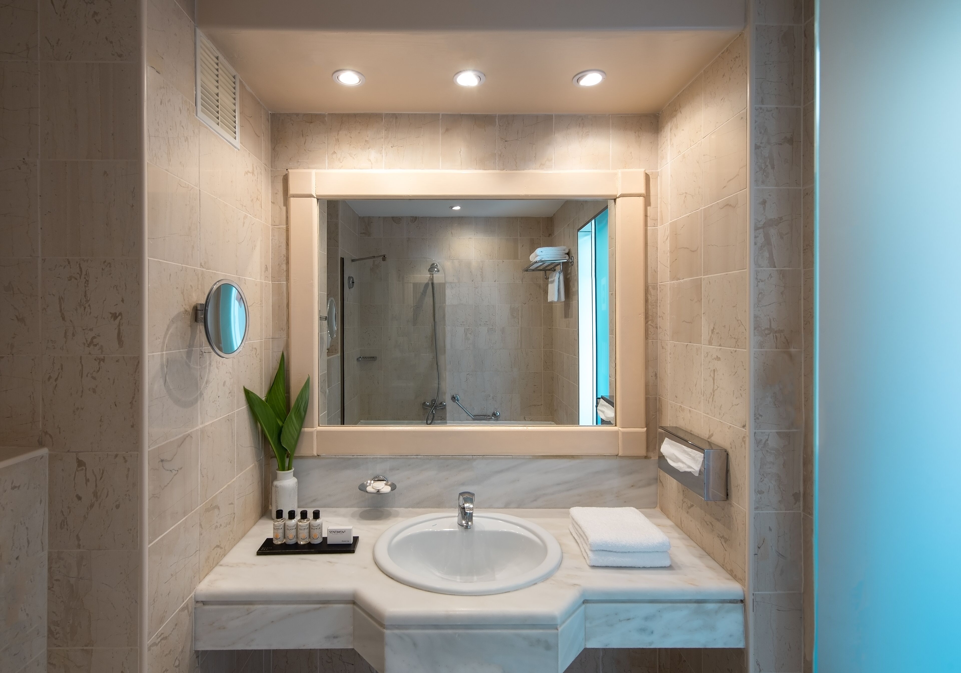 bathtub, free toiletries, towels