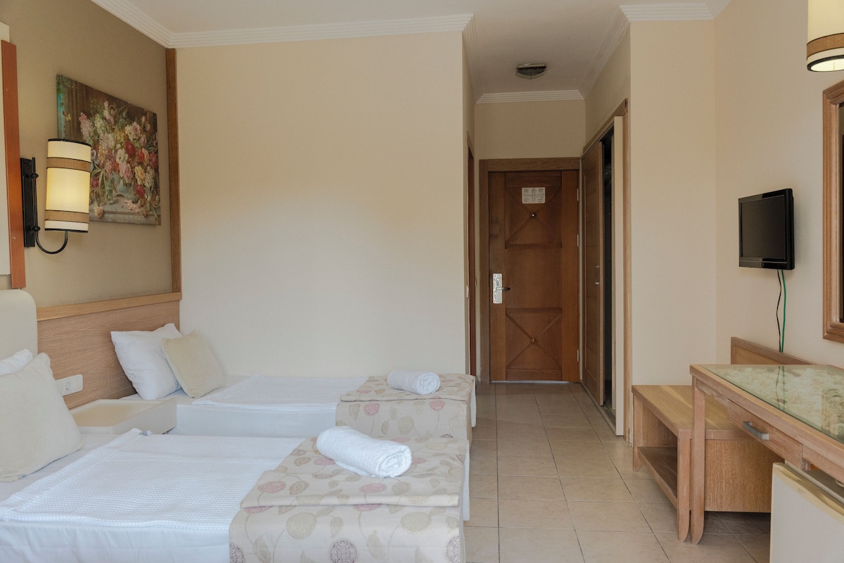 Minibar, desk, WiFi (surcharge), bed sheets