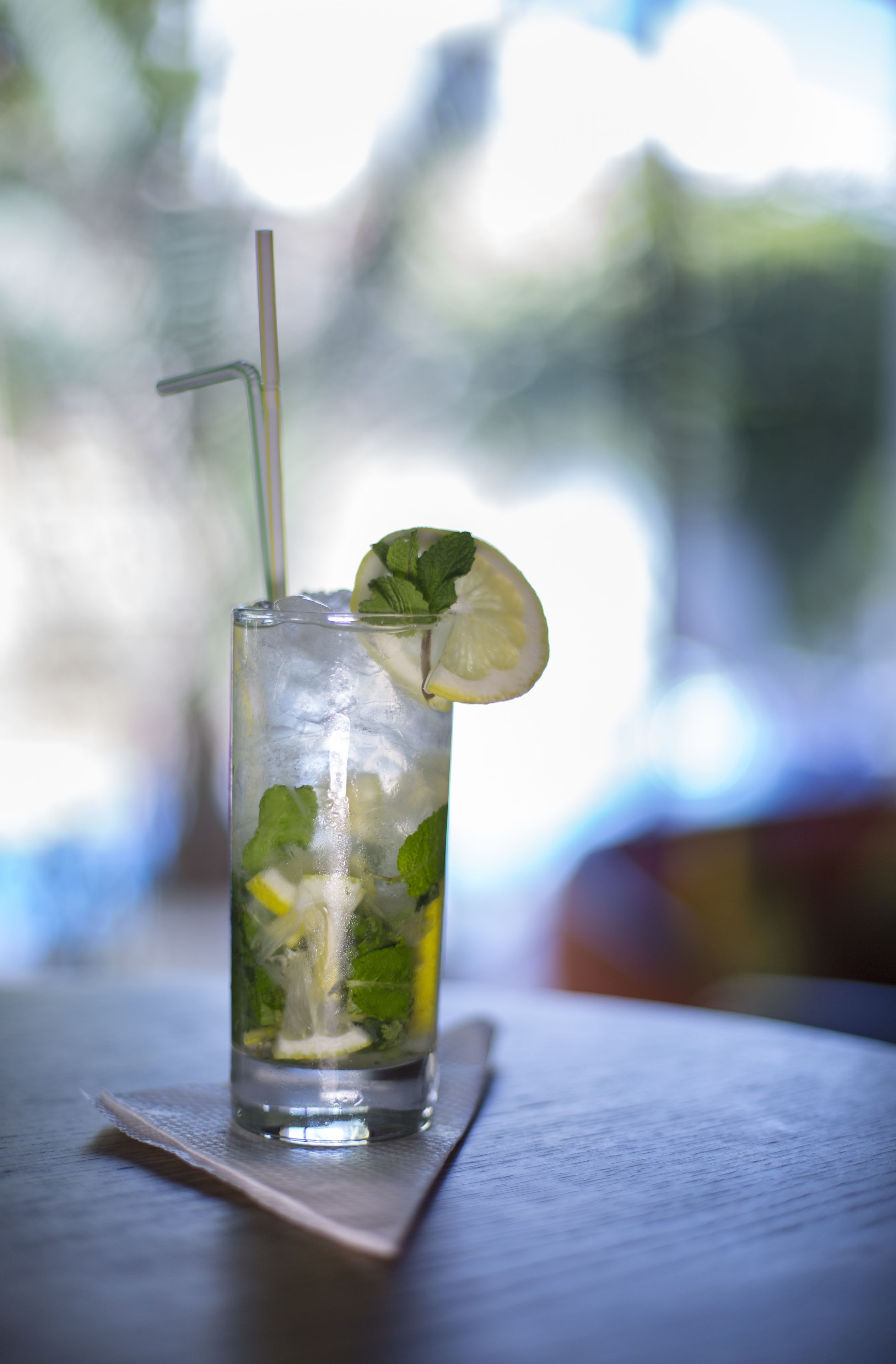 Un vaso alto con pajita, hielo, hojas de menta y una rodaja de limón.