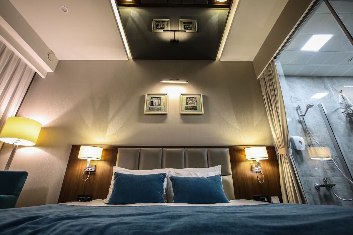Standaard kamer, 1 kingsize bed, roken | Een minibar, een kluis op de kamer, een bureau, een laptopwerkplek