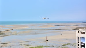 A coastal view with a bird flying over a sandy beach area, a pier, and a building with a balcony.