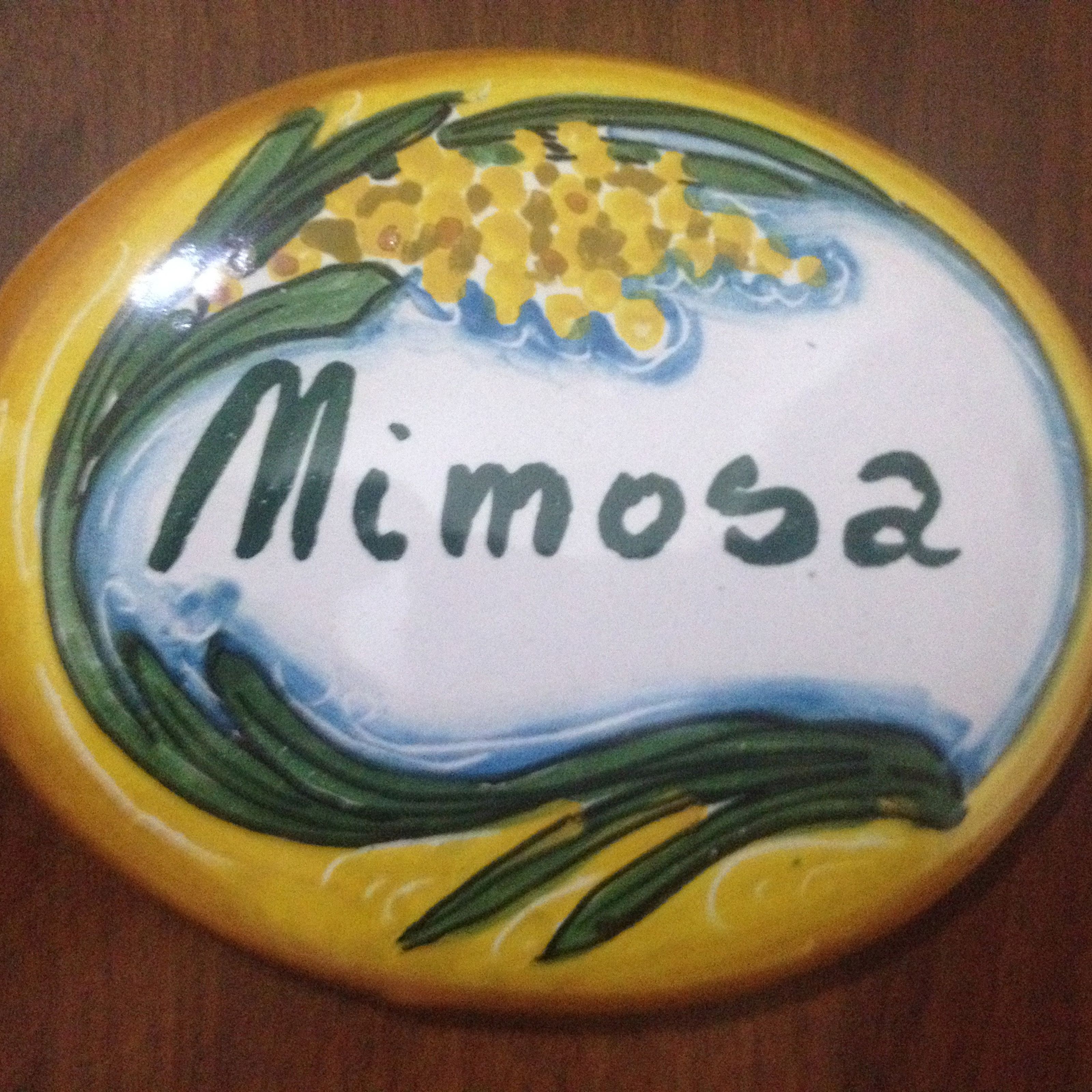 A ceramic plate with the word "Mimosa" and decorative elements.