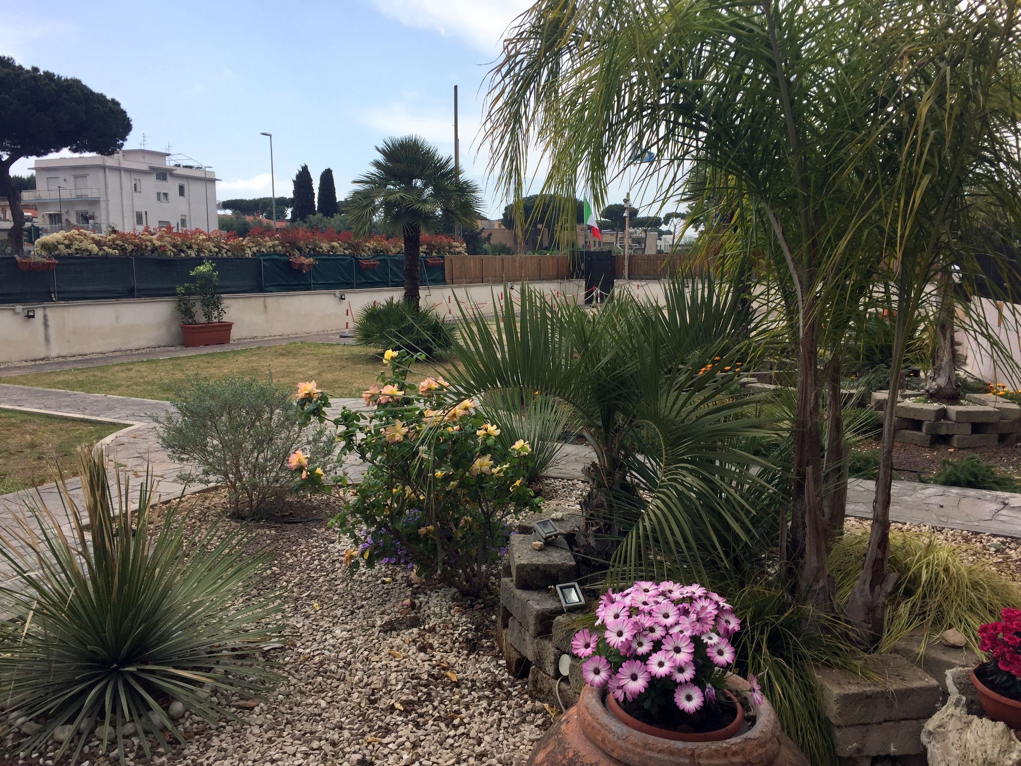 Un jardín con diversas plantas y flores, una palmera y un edificio al fondo.