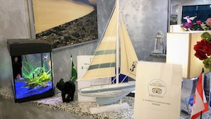 A room with a fish tank, a sailboat model, a certificate, and a flag. - Il Giardino di Adriana (Terracina)