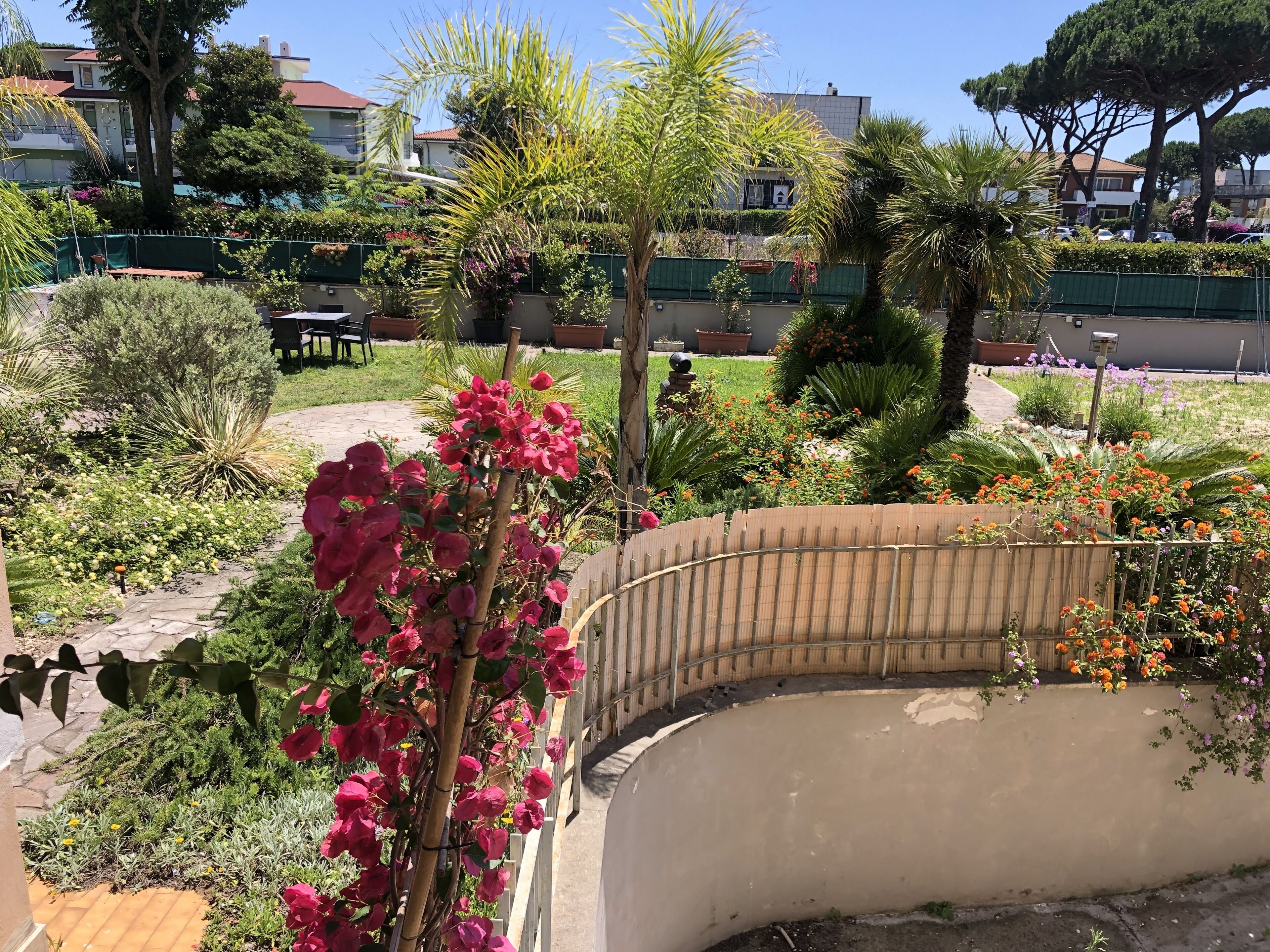 Un jardín con diversas plantas y flores, un muro curvo y un sendero.