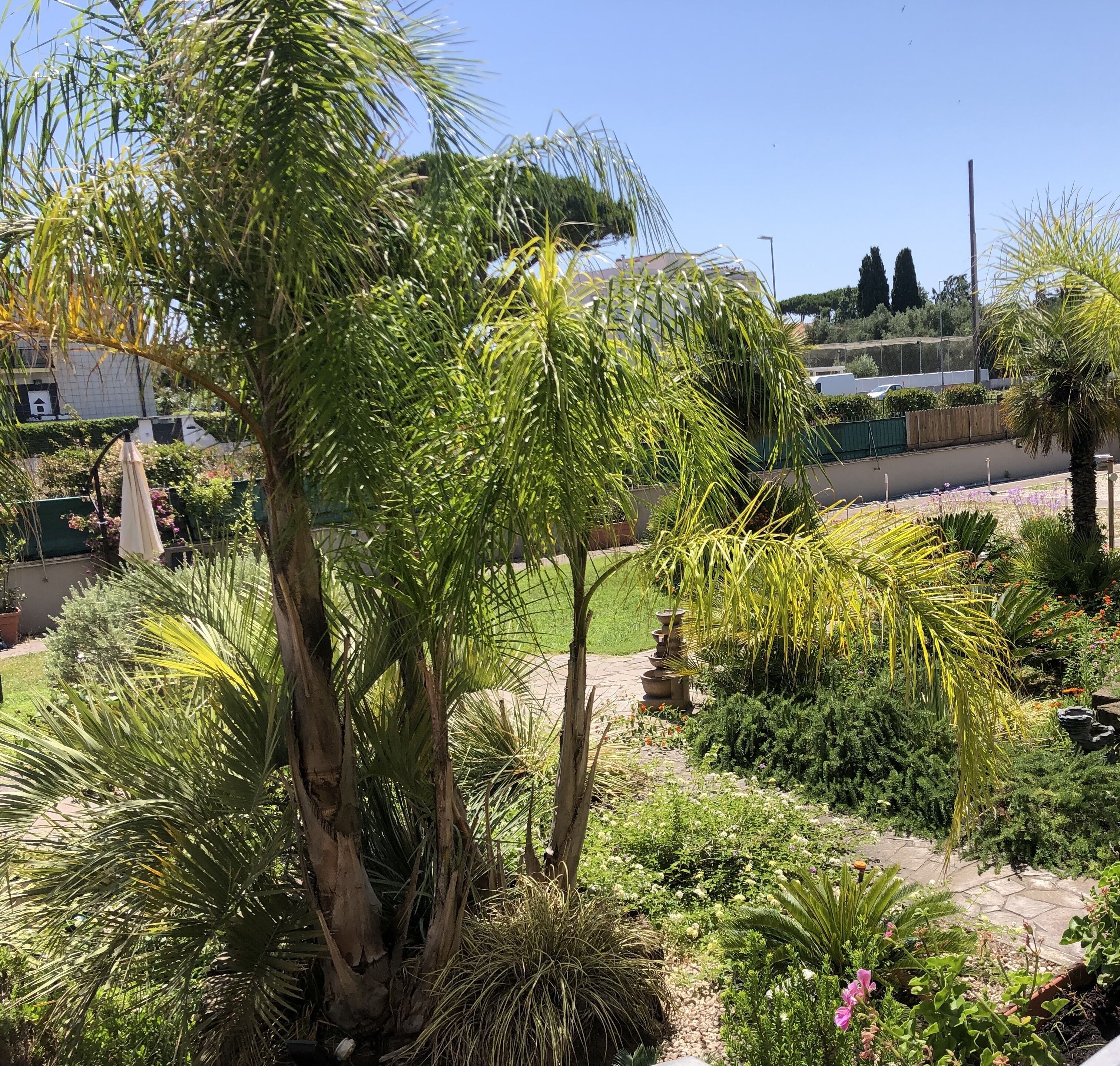 Foto - Il Giardino di Adriana