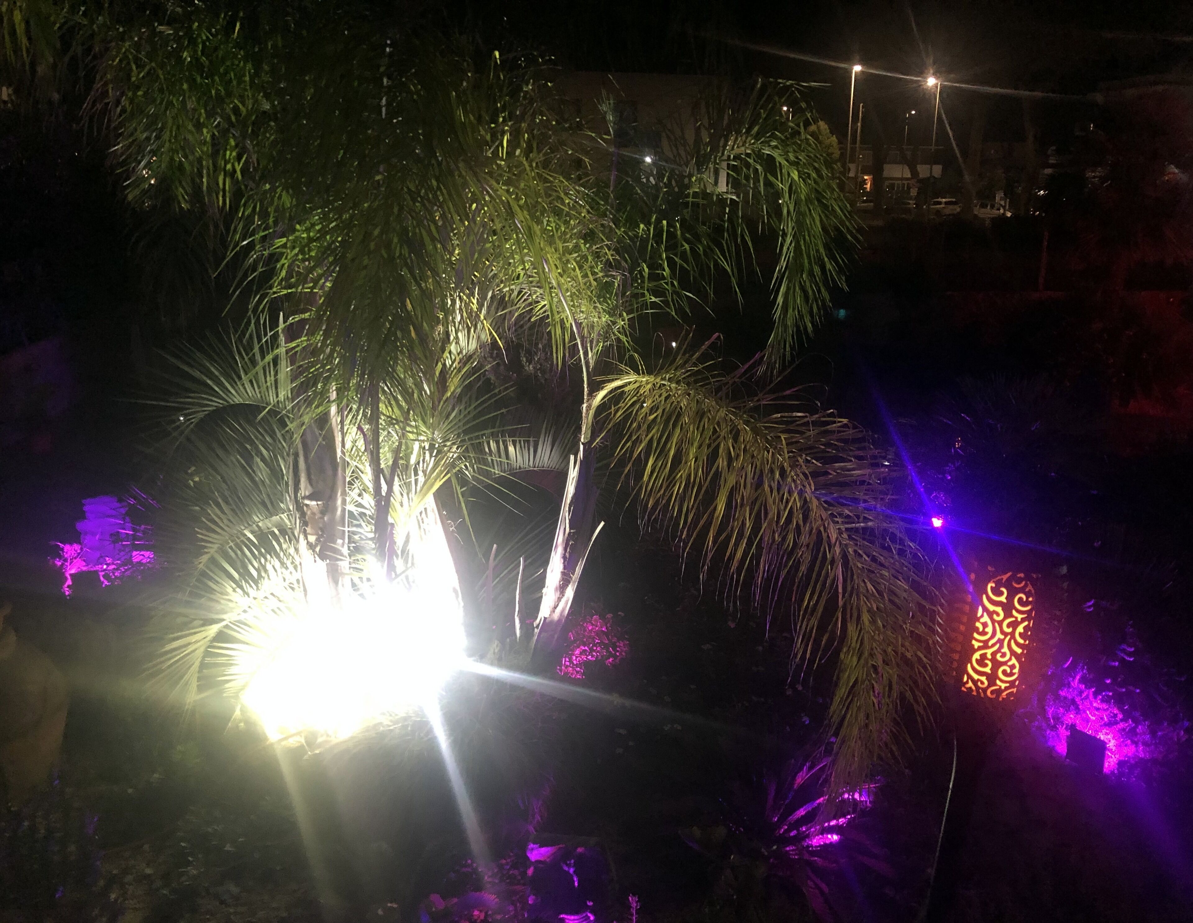 Foto - Il Giardino di Adriana
