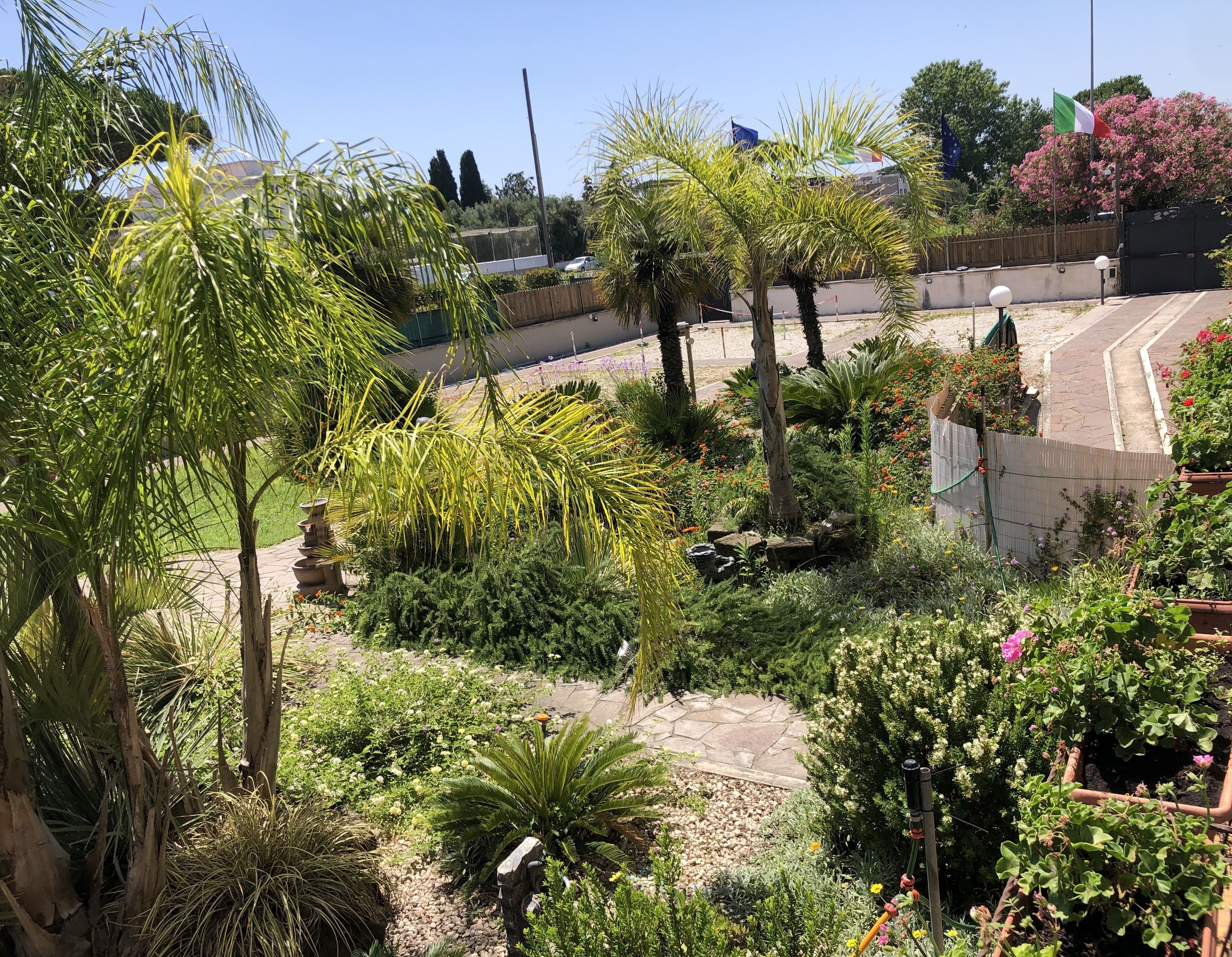 Un exuberante jardín con diversas plantas y un sendero de piedra.