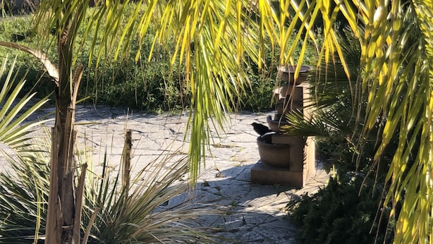 A stone pathway surrounded by lush greenery and a bird bath. - Il Giardino di Adriana (Terracina)
