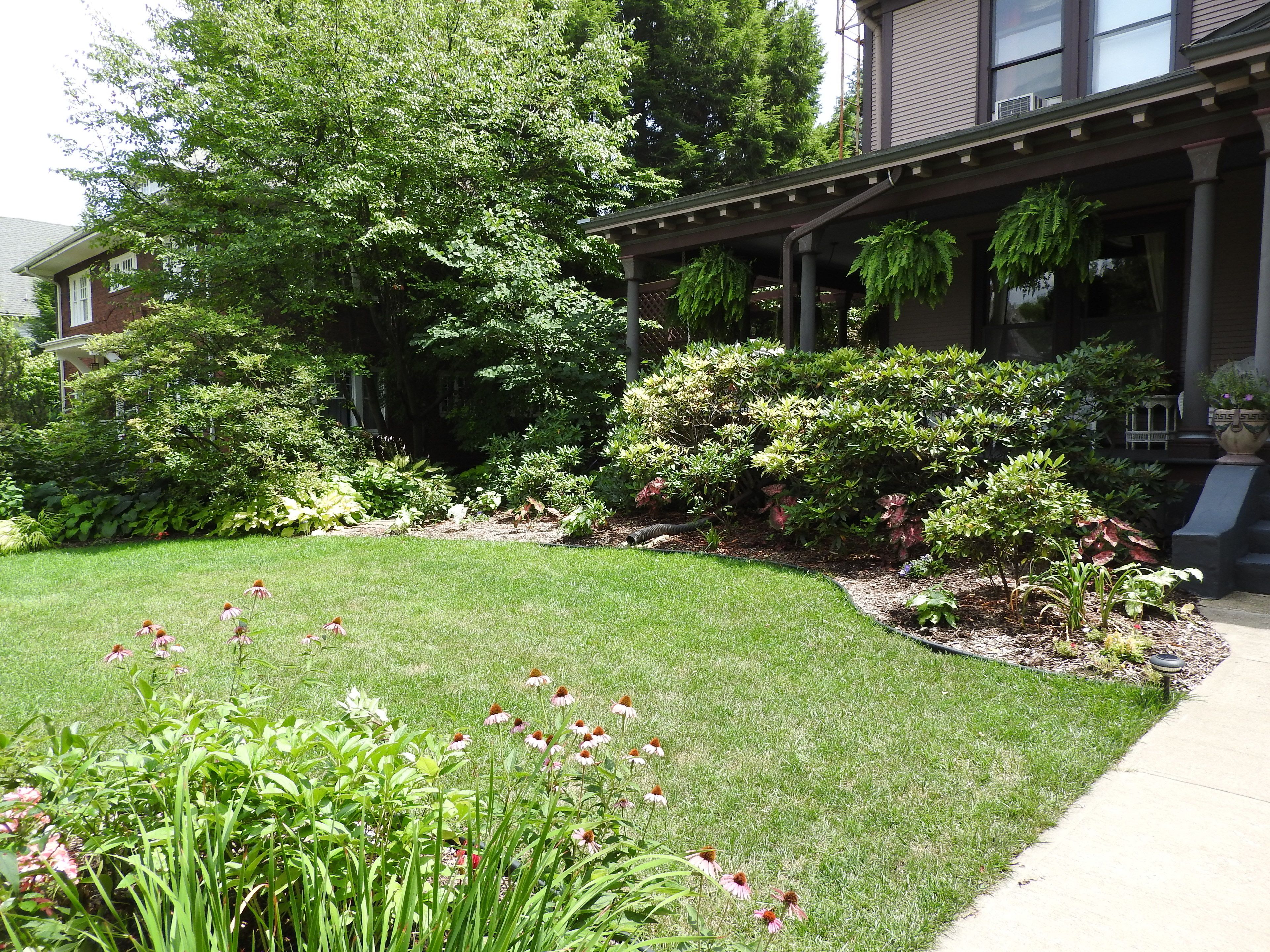 Un jardín bien cuidado con diversas plantas y flores frente a una casa.