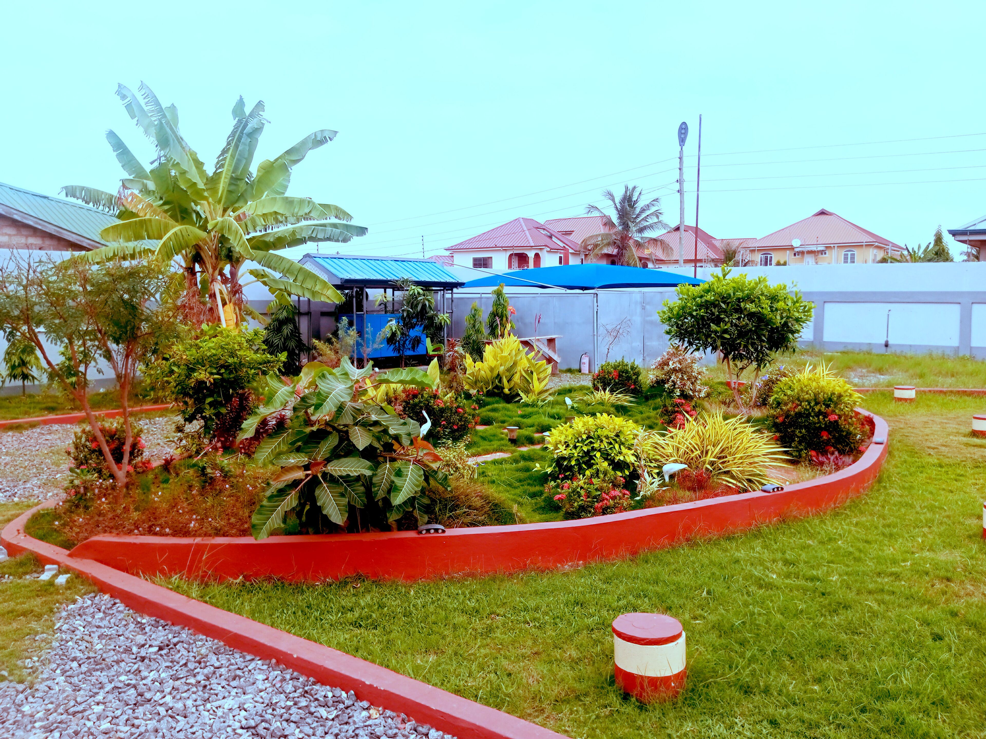 A landscaped garden with various plants and a red border.