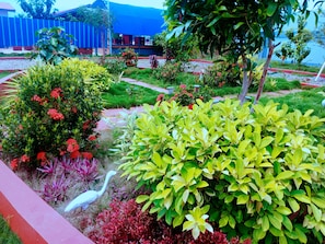 花園